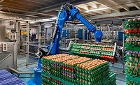 robot picking up eggs