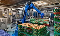robot picking up eggs