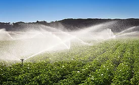 sprinklers watering crops
