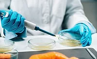 microbiological analysis or culturing