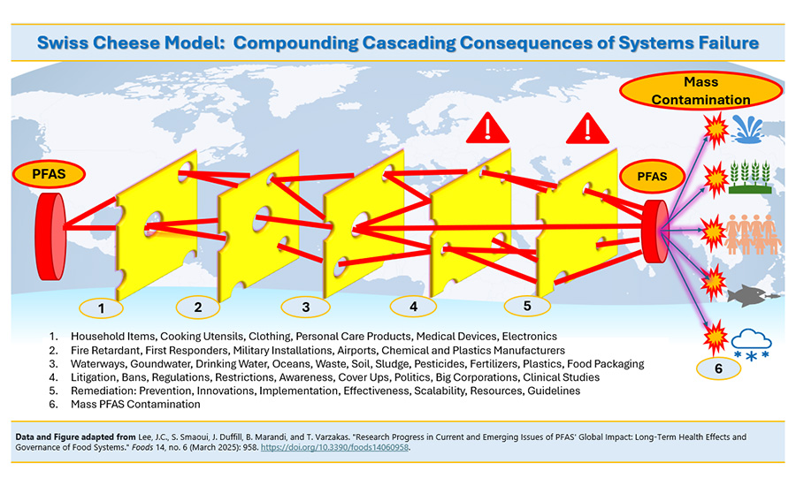 The Swiss Cheese Model