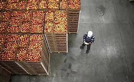  a worker in a warehouse or facility, surrounded by stacked crates filled with apples