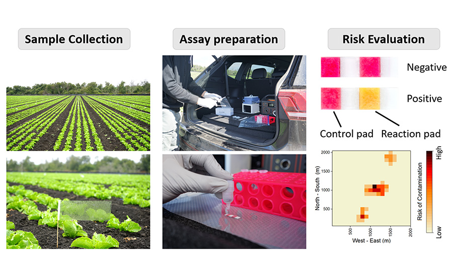 Illustration of the collection flags used for collecting samples