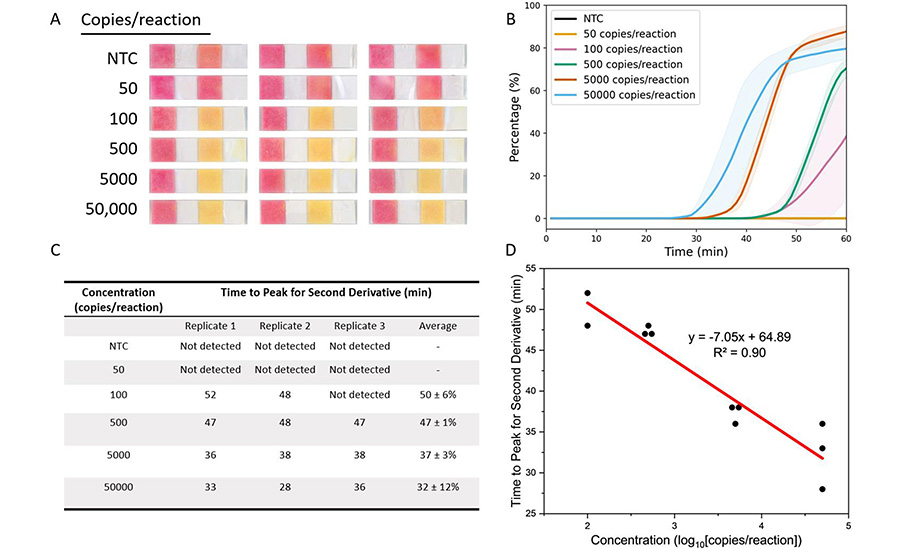 Limit of detection (LoD) and quantitative analysis of paper LAMP assays