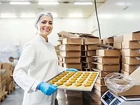 a female food factory worker holding a tray of fresh cookies a female food factory worker holding a tray of fresh cookies