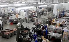 a facility in the meat-packing industry