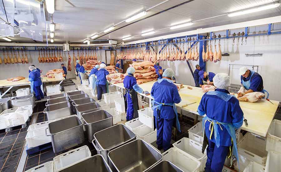 workers in a meatpacking plant 