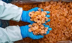 ooked shrimp or prawns