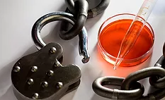 a conceptual representation of drug development and approval