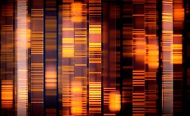 a series of vertical, colored bars against a dark background a series of vertical, colored bars against a dark background