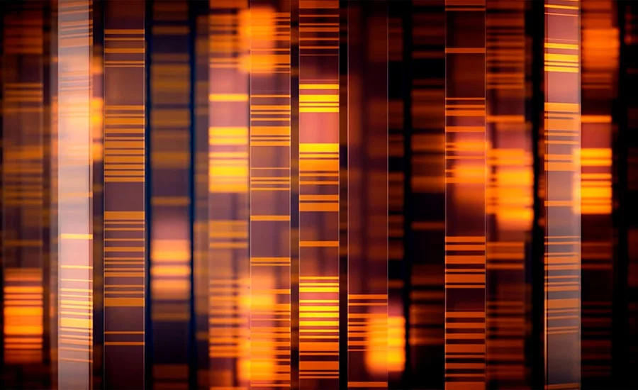 a series of vertical, colored bars against a dark background