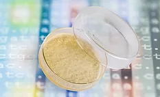 food sample for testing