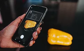 a smartphone displaying nutritional information overlaid on a bell pepper