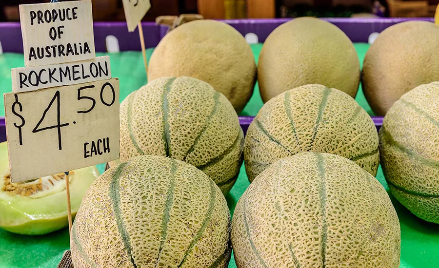 rockmelon