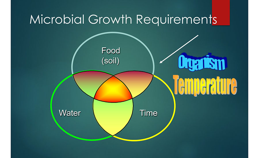 Microbial Growth Requirements