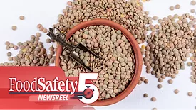 green lentils in a brown bowl with a small metal scoop