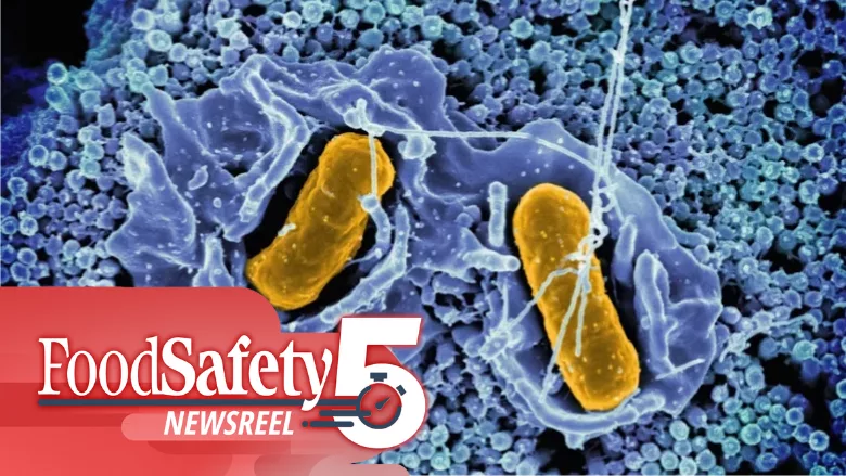 Food Safety Five Ep. 18: UK BPA Ban, Plastic in Produce, and a Salmonella Vaccine