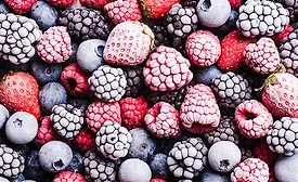 The image shows a variety of frozen berries