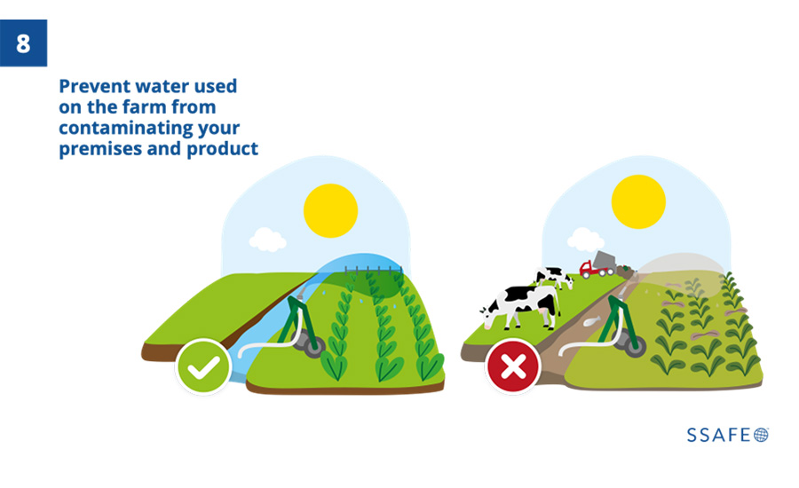 two people, one holding a carrot and the other holding a sweet potato, in a diagram illustrating a food safety guideline