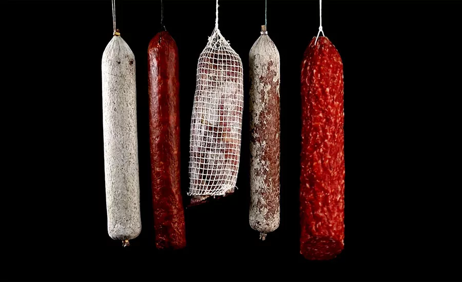 several types of dry-cured salami