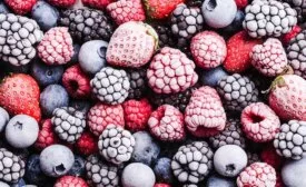 The image shows a variety of frozen berries