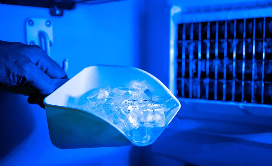 Sanitation Of Ice Making Equipment