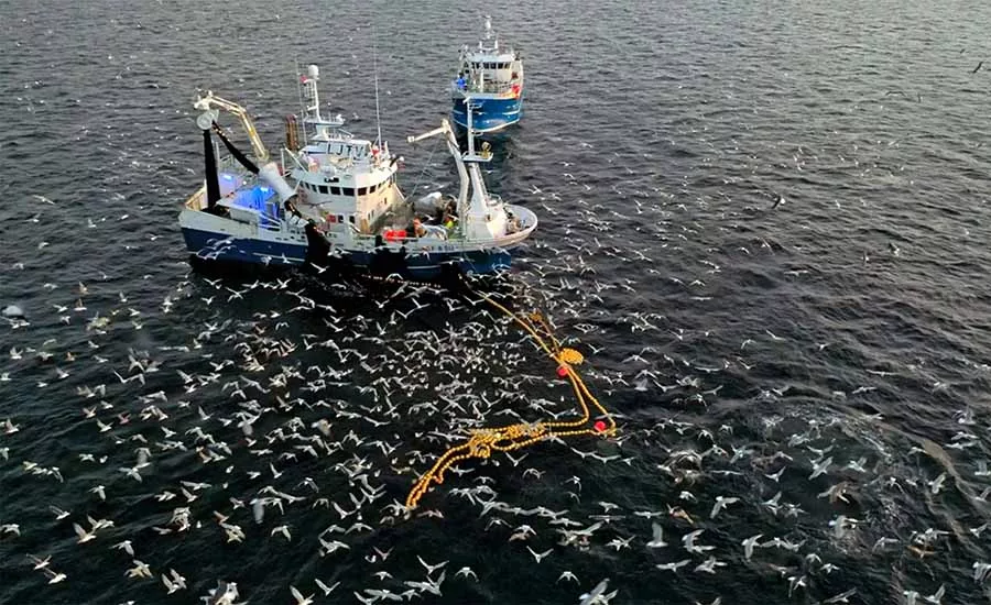 This image captures a chaotic scene of Atlantic fishing vessels netting fish in northern Norway, surrounded by thousands of seagulls feasting on the catch. 