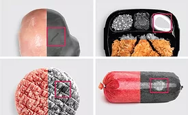 the use of dual-energy X-ray food inspection technology to identify foreign contaminants. 
