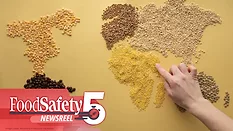 The image depicts a world map created from various types of grains, cereals, and coffee beans. 