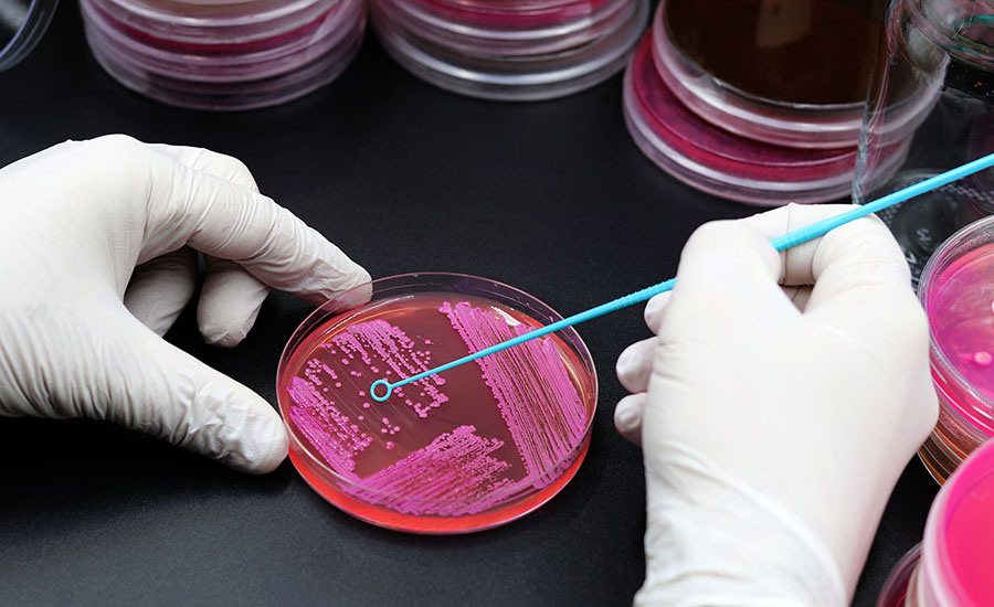 When Dead Bacteria Trigger False Alarms: Rethinking a Common 