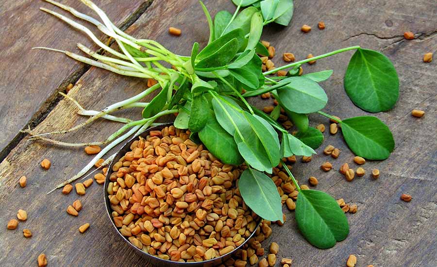 fresh fenugreek (Trigonella foenum-graecum) leaves, roots, and yellowish-brown seeds placed on a rustic wooden surface