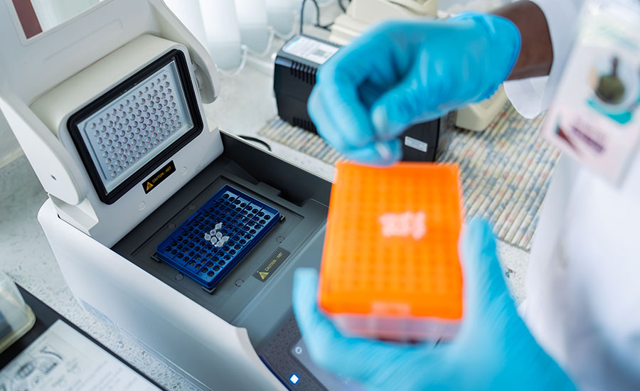 a laboratory technician in blue gloves loading PCR tubes into a thermal cycler machine for DNA amplification