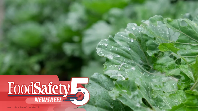 Food Safety Five Ep. 36: Listeria, E. coli, Biofilms, Plastics, and Oil Adulteration