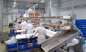 This image depicts a meat processing facility
