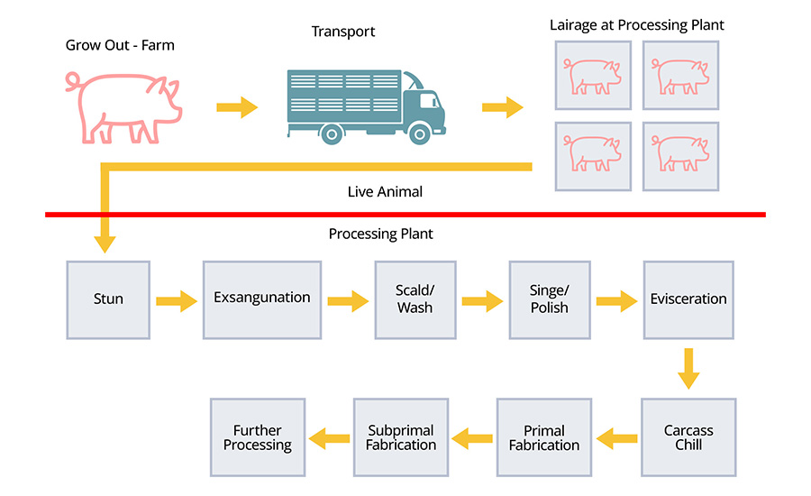 Schematic of the Fresh Pork Supply Chain