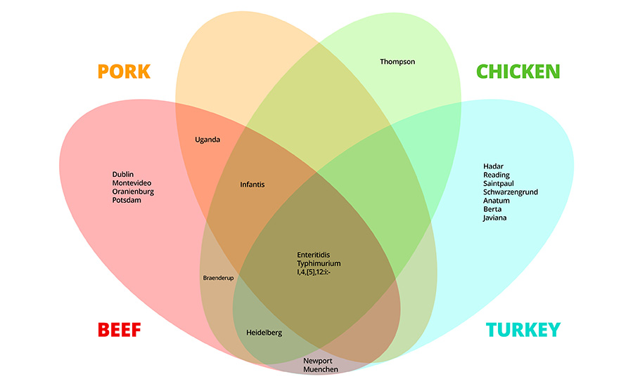 Serotypes Identified as