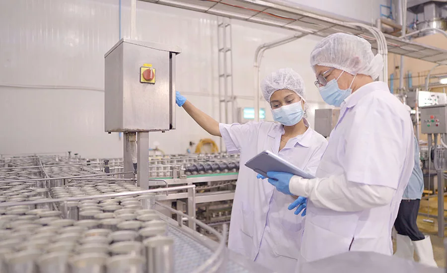 This image depicts a food production line setting