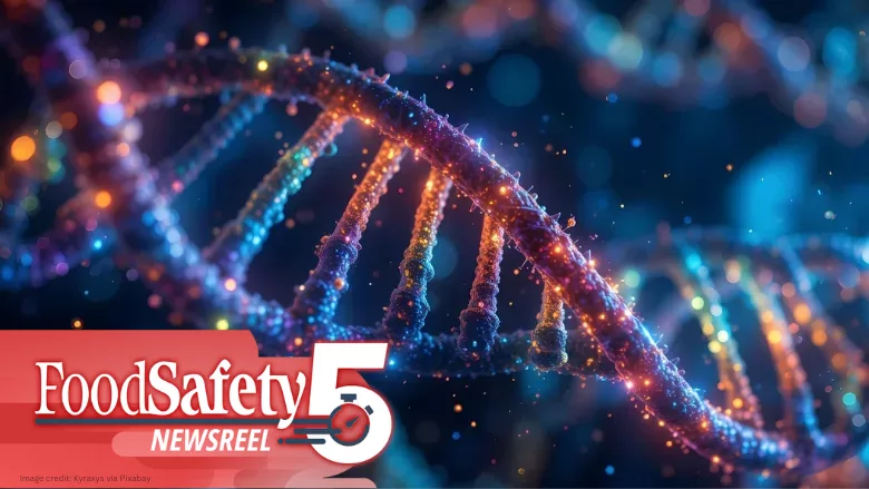 Food Safety Five Ep. 25: Addressing the Global Rise of Salmonella