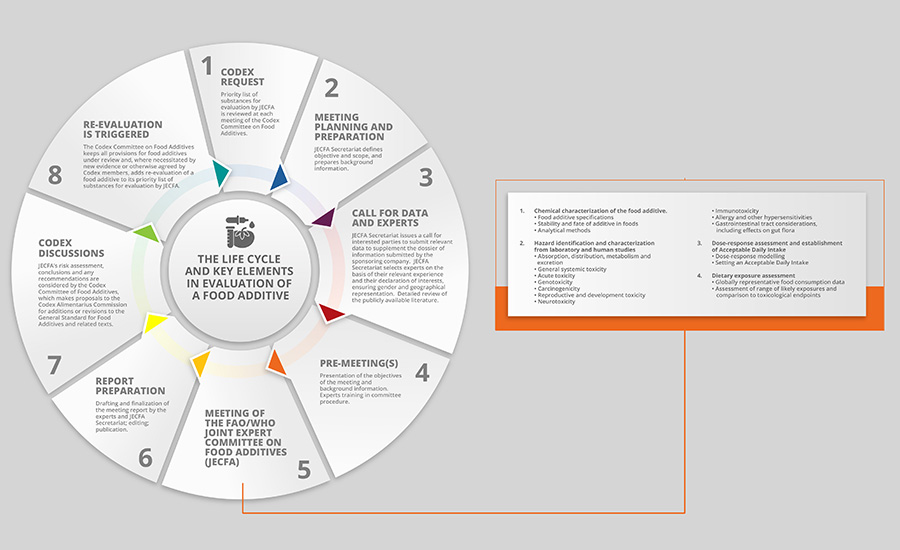 the lifecycle and evaluation steps for a food additive.