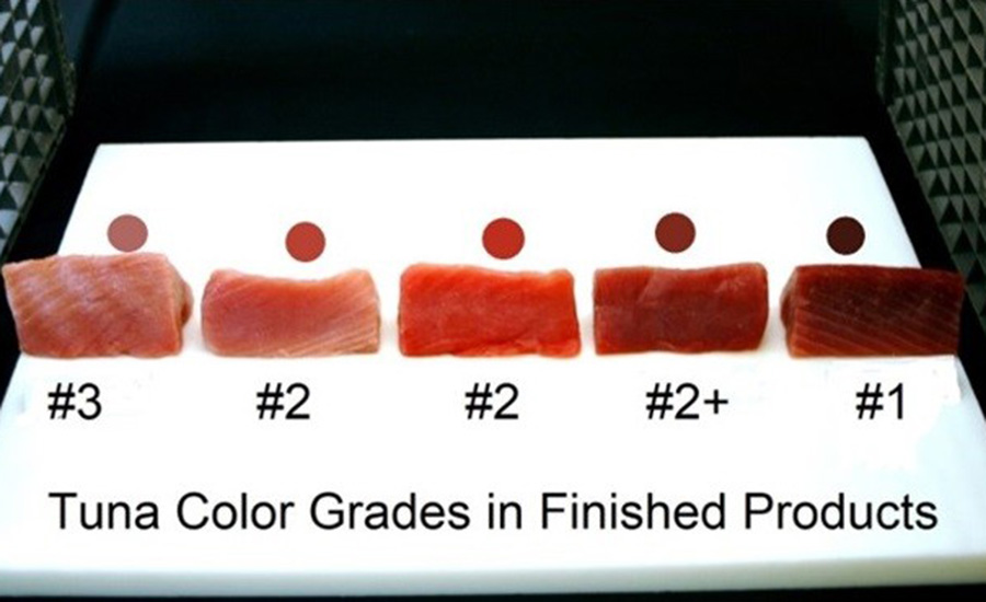 tuna color grades in finished products