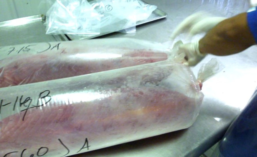 large meat cuts packed in clear plastic bags
