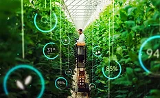 digitally enhanced vertical farming