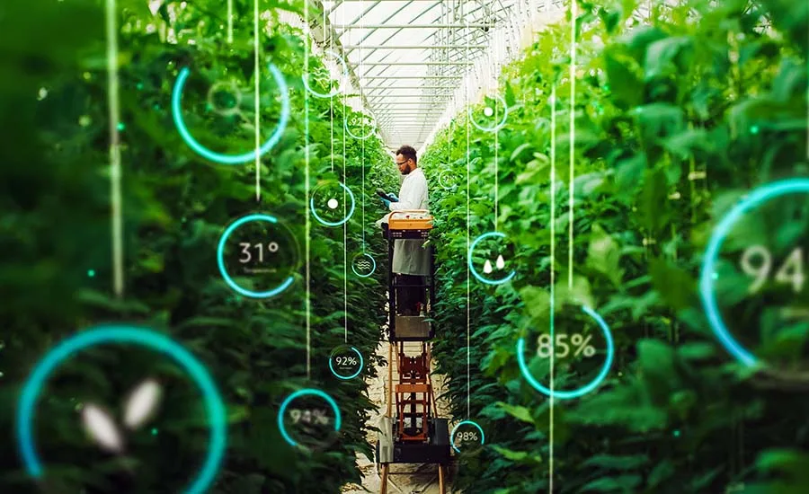 digitally enhanced vertical farming