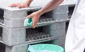 the cleaning of durable plastic pallets for food industry hygiene