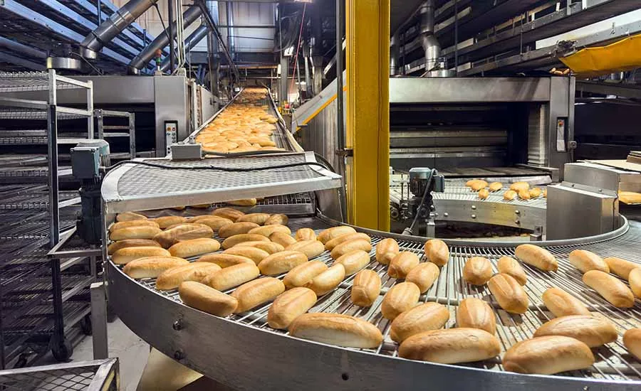 The image depicts a high-volume industrial baking factory line where freshly baked bread rolls are moving along a conveyor system. 