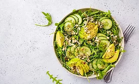 This dish is a fresh salad containing avocado slices, sliced cucumbers, and bean sprouts on a bed of greens. 