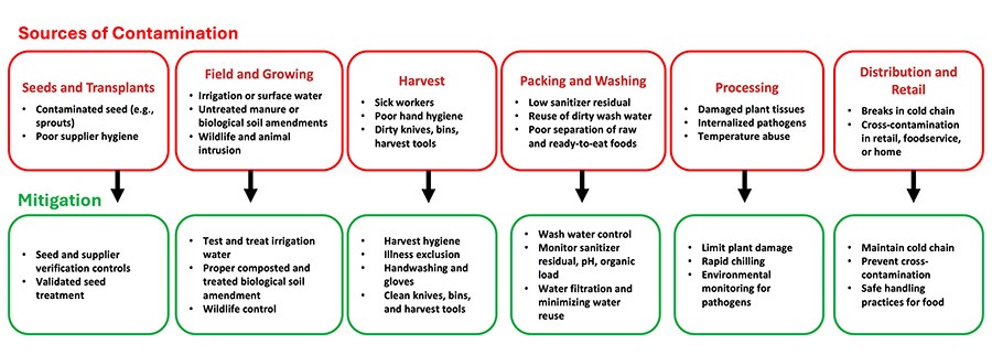 This chart outlines potential sources of contamination in food production and corresponding mitigation strategies to ensure safety.