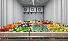 The image displays an industrial vegetable and fruit storage room.