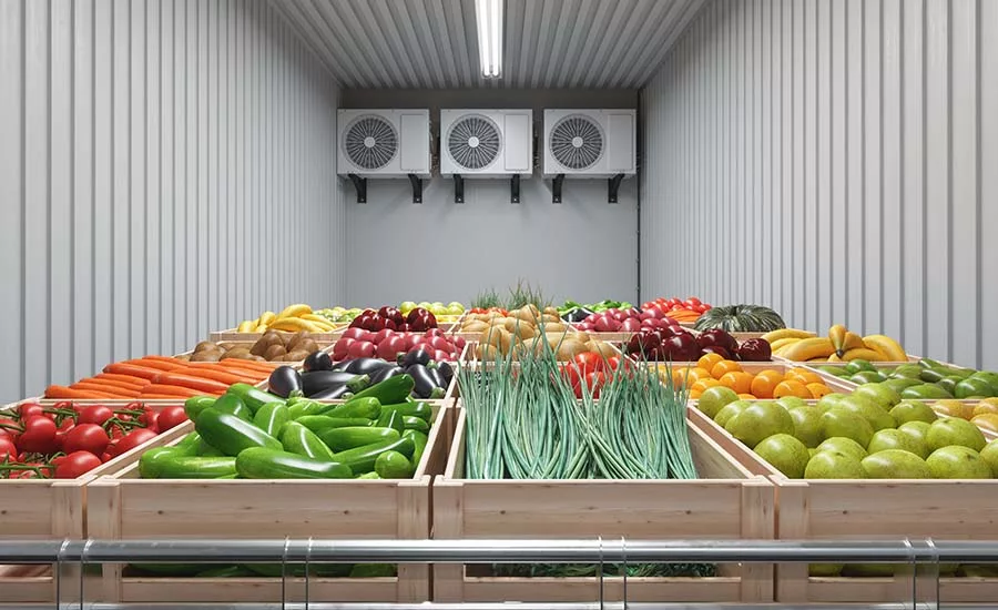The image displays an industrial vegetable and fruit storage room.