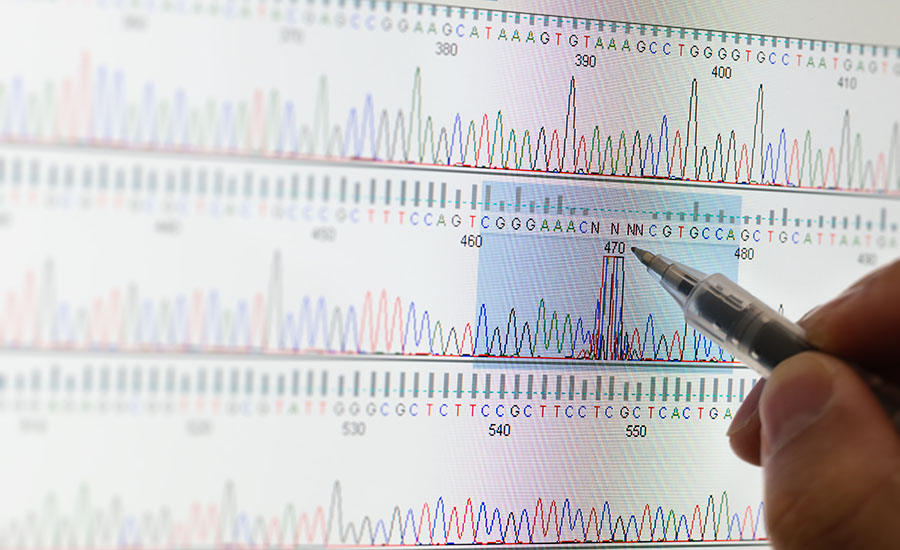 a chromatogram output from DNA sequencing (such as Sanger sequencing)